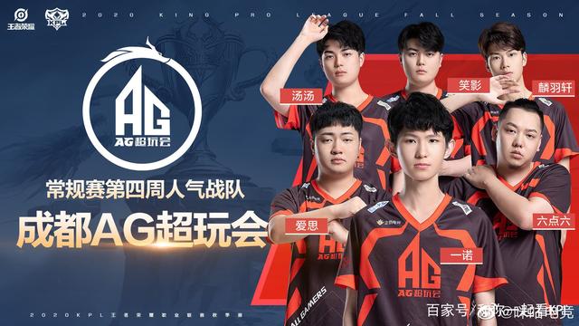 组织化